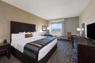 La Quinta Inn & Suites By Wyndham Lake City Værelse billede